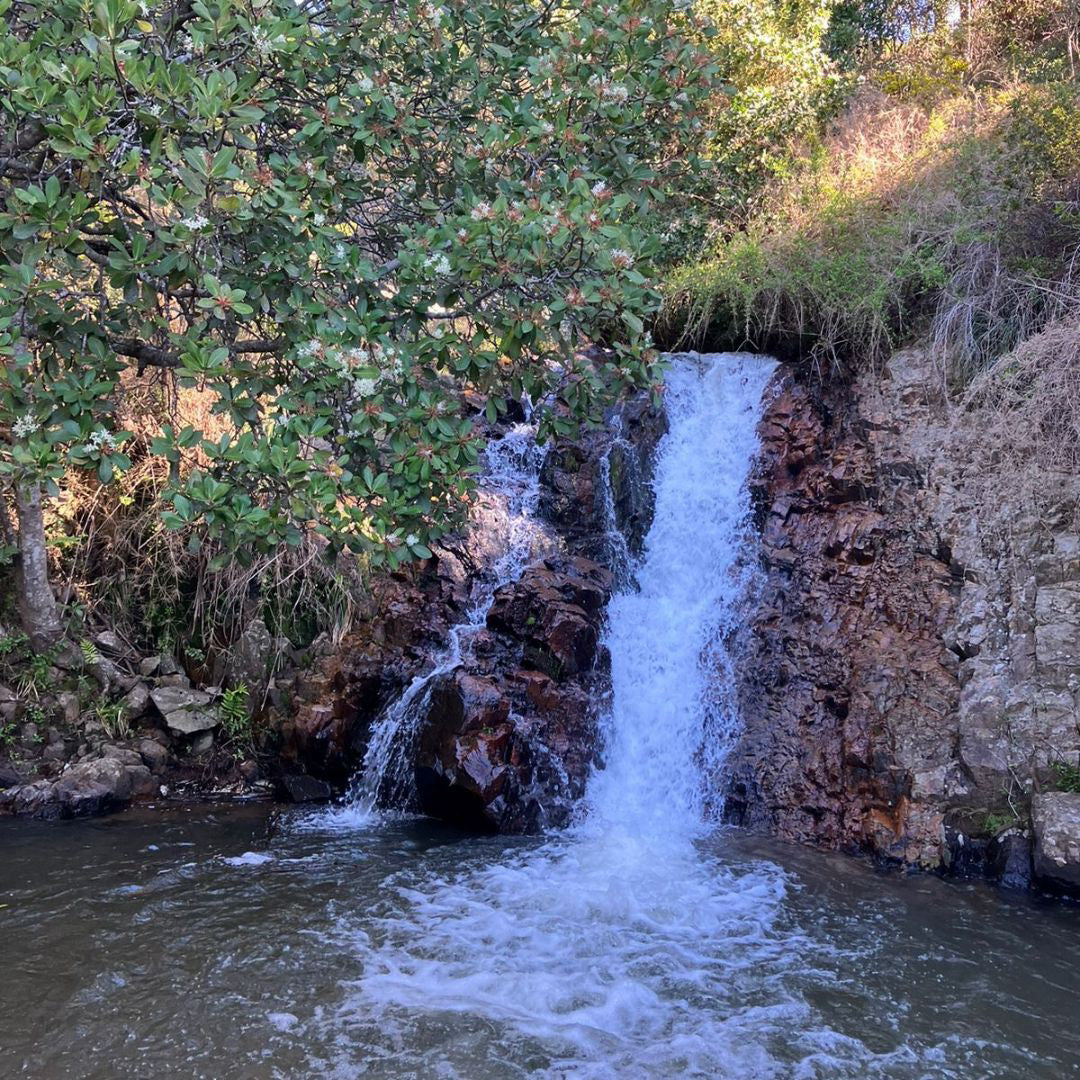 TOUR COSTA MÁGICA: PLAYA, BOSQUE Y CASCADA, Curanipe