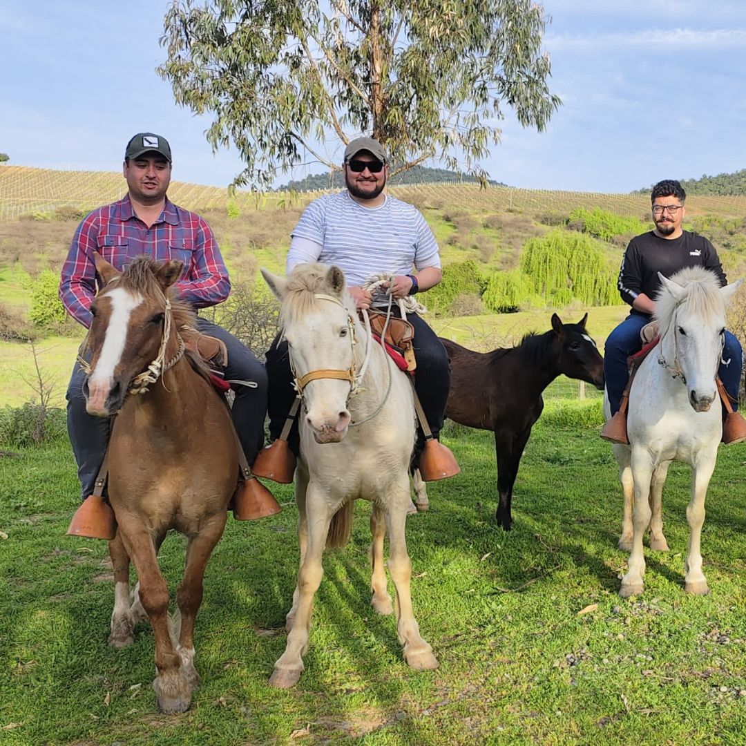 CABALGA MAULE, Cabalgata familiar, San Javier