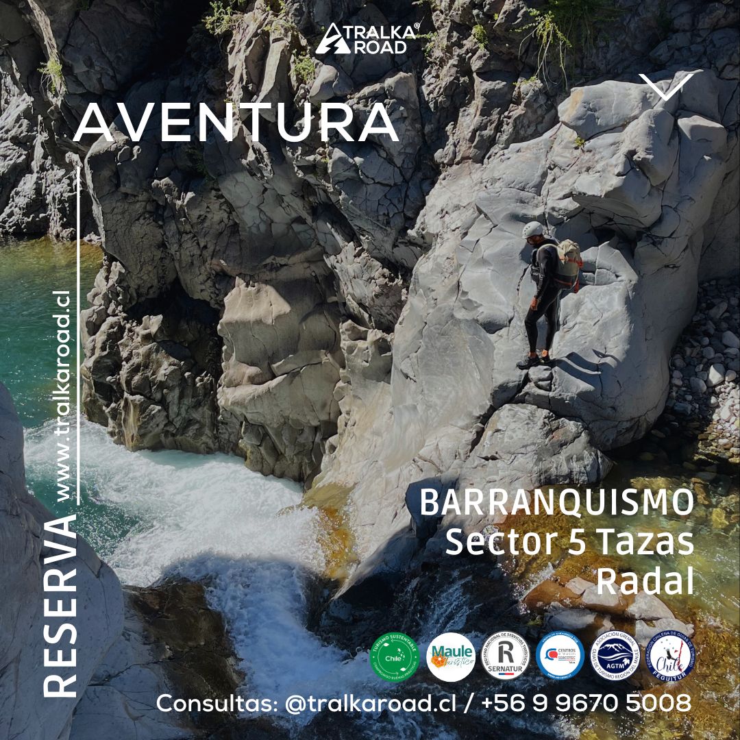 BARRANQUISMO Sector 5 tazas