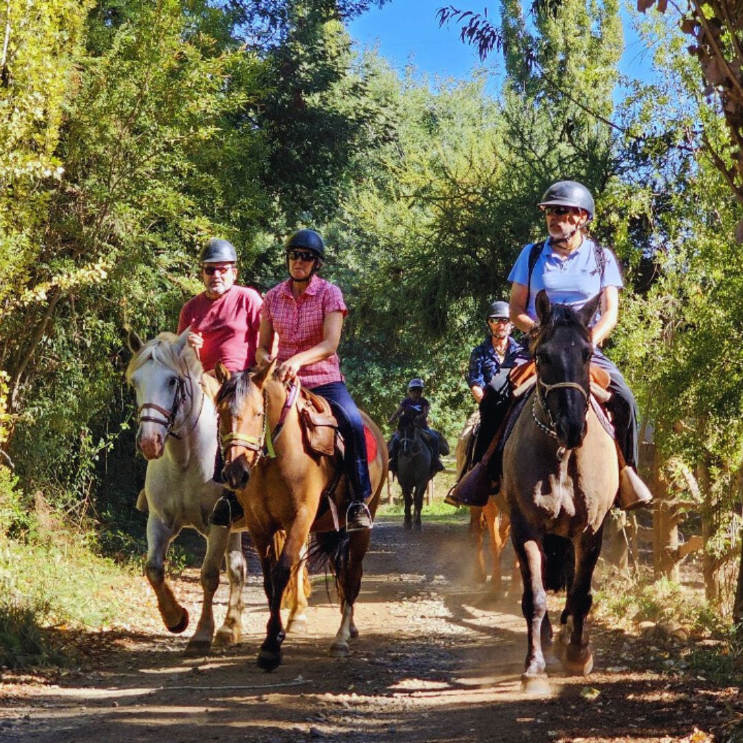 CABALGATA Y MATEADA AL RÍO, Rabones, Región del Maule