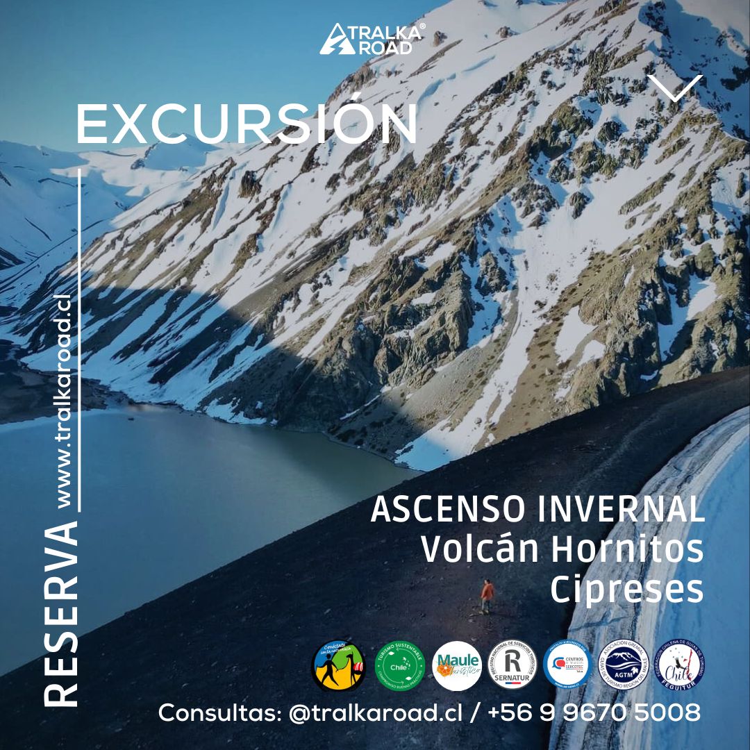 ASCENSO INVERNAL VOLCÁN HORNITOS, Cipreses