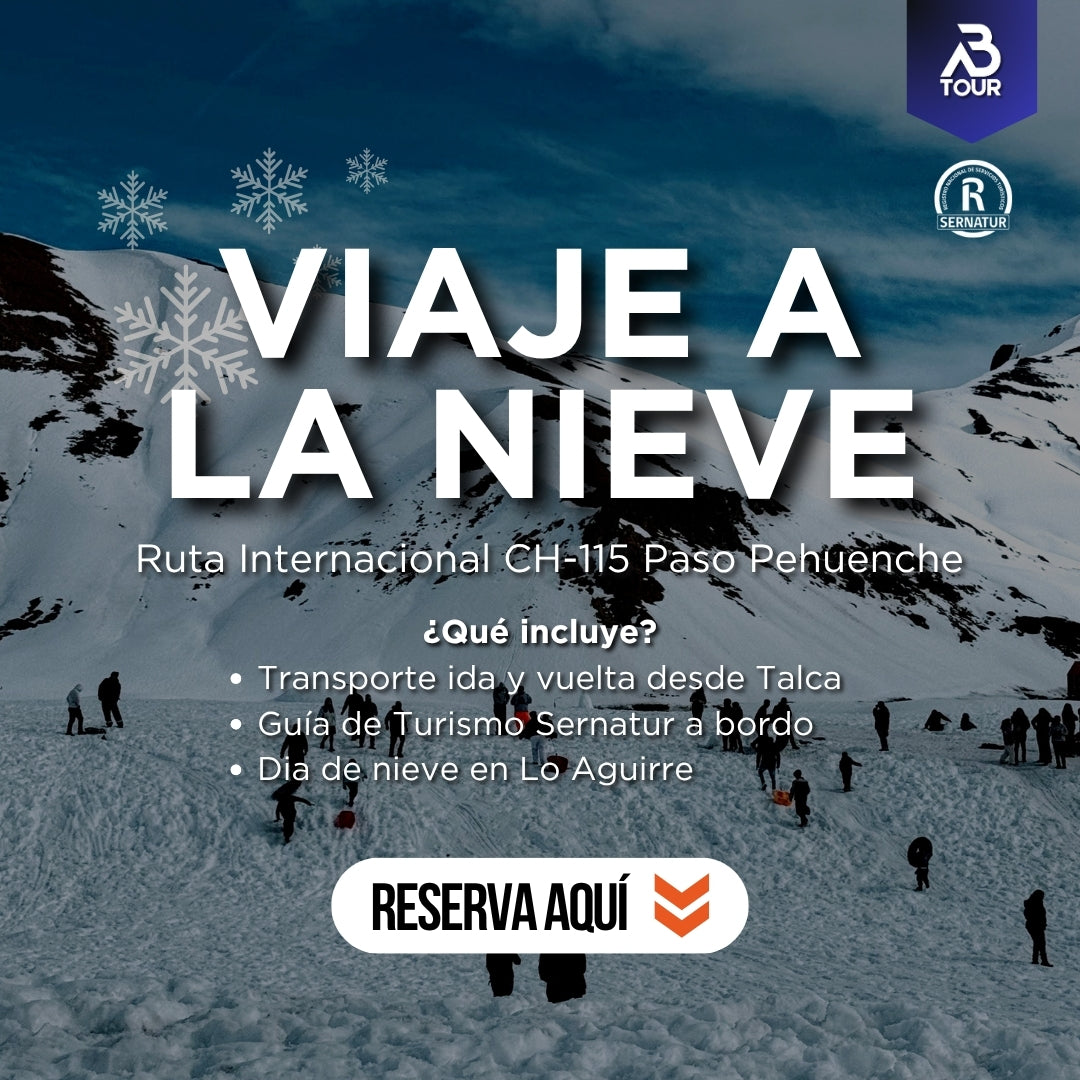 VIAJE A LA NIEVE, Paso Pehuenche, Región del Maule