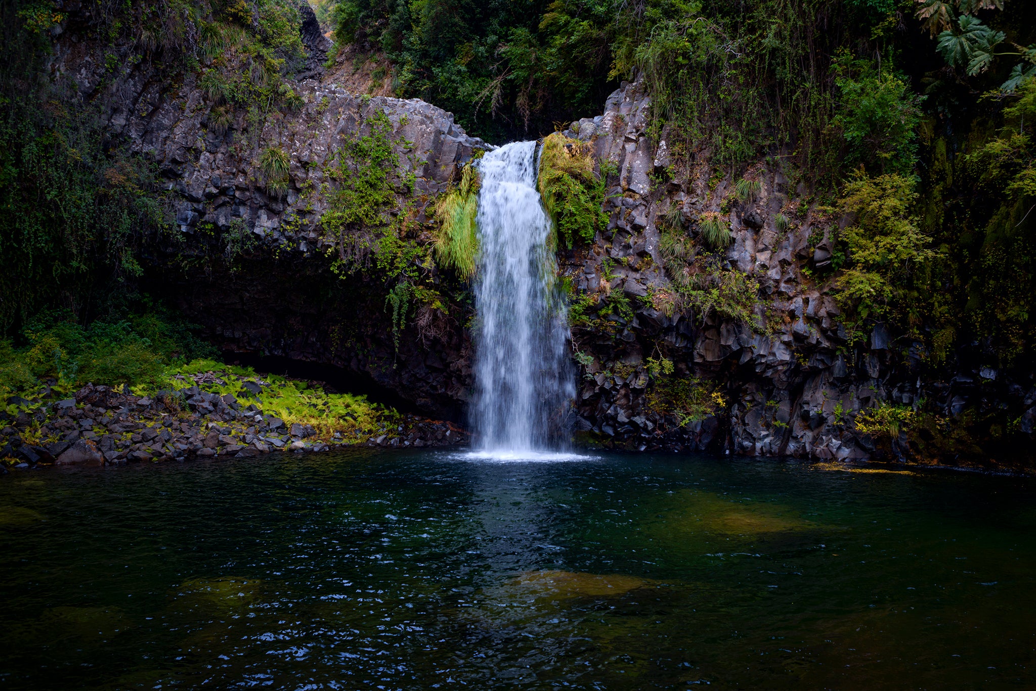 TREKKING FOTOGRÁFICO: Bosques y Montañas