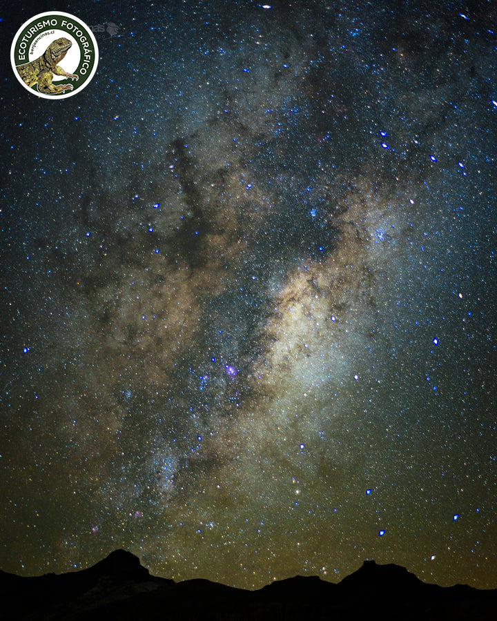 CURSO INTERMEDIO: Fotografía Nocturna 2024