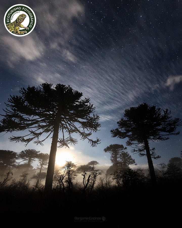 CURSO INTERMEDIO: Fotografía Nocturna 2024