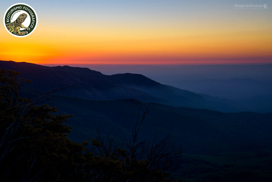 CURSO INTERMEDIO: Fotografía Nocturna 2024