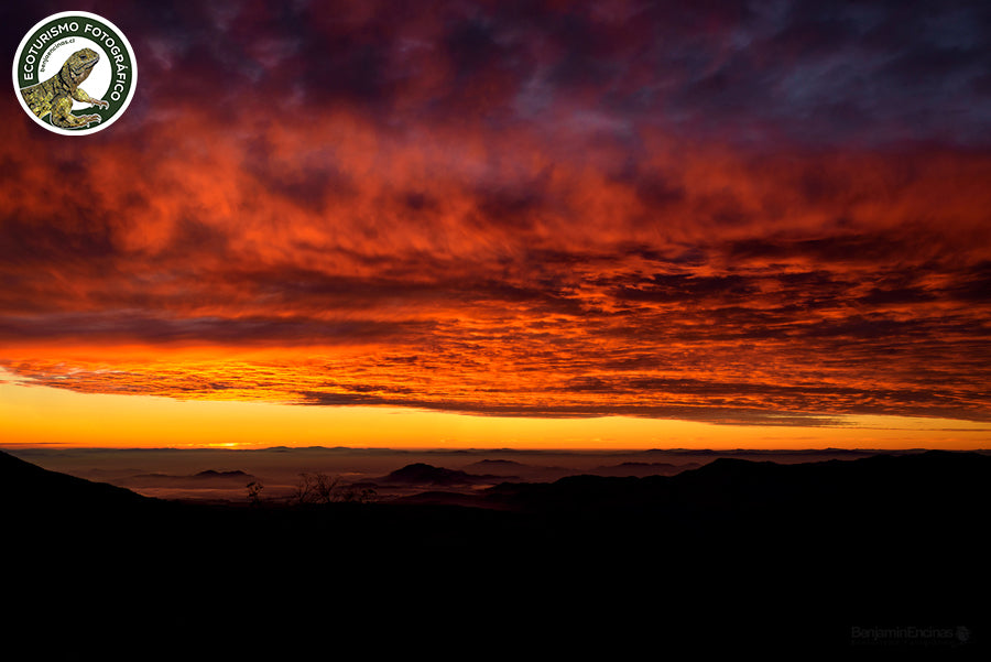 CURSO INICIAL: Fotografía de Naturaleza 2025
