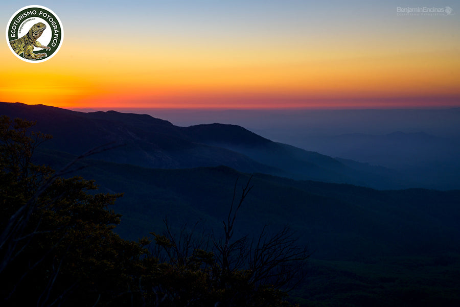 CURSO INICIAL: Fotografía de Naturaleza 2025