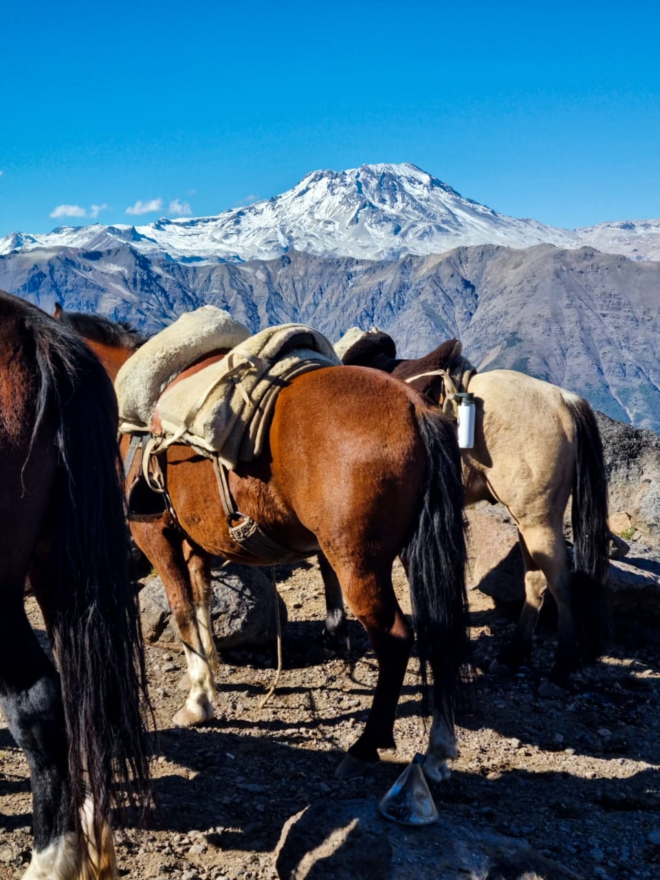CABALGATA ENLADRILLADO, Reserva Altos de Lircay