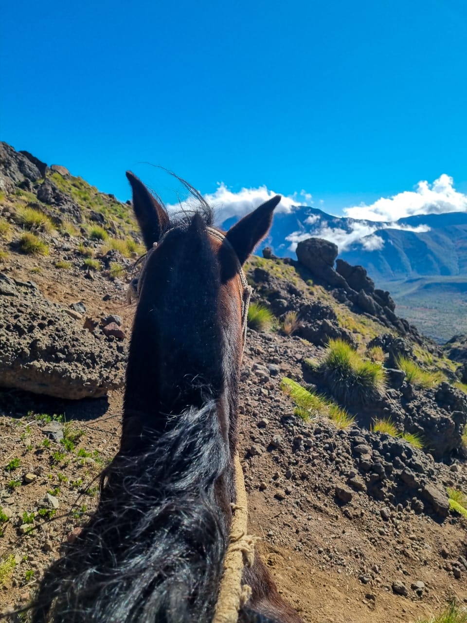 CABALGATA ENLADRILLADO, Reserva Altos de Lircay