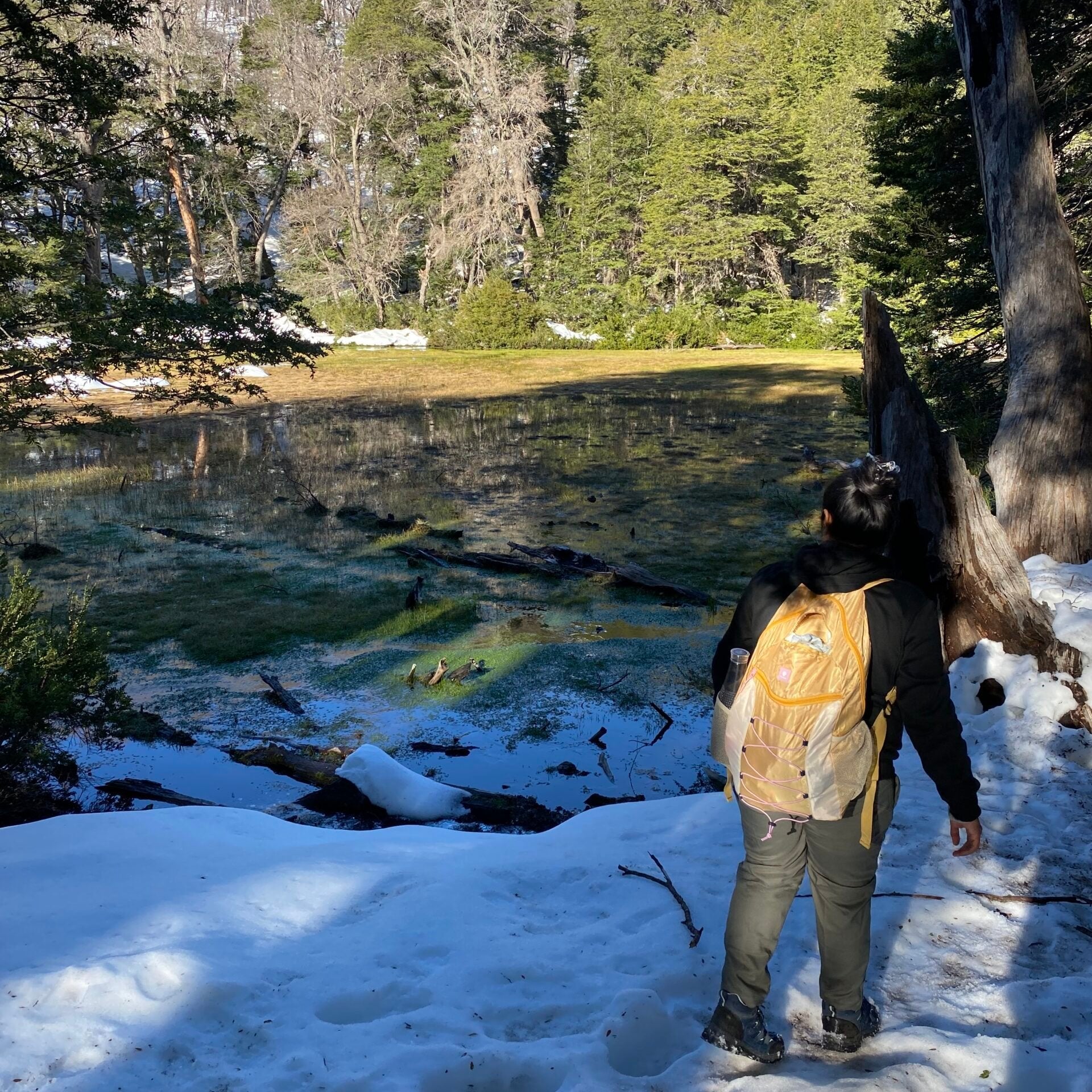 PANTANO DE MAJADILLAS, Vilches Alto