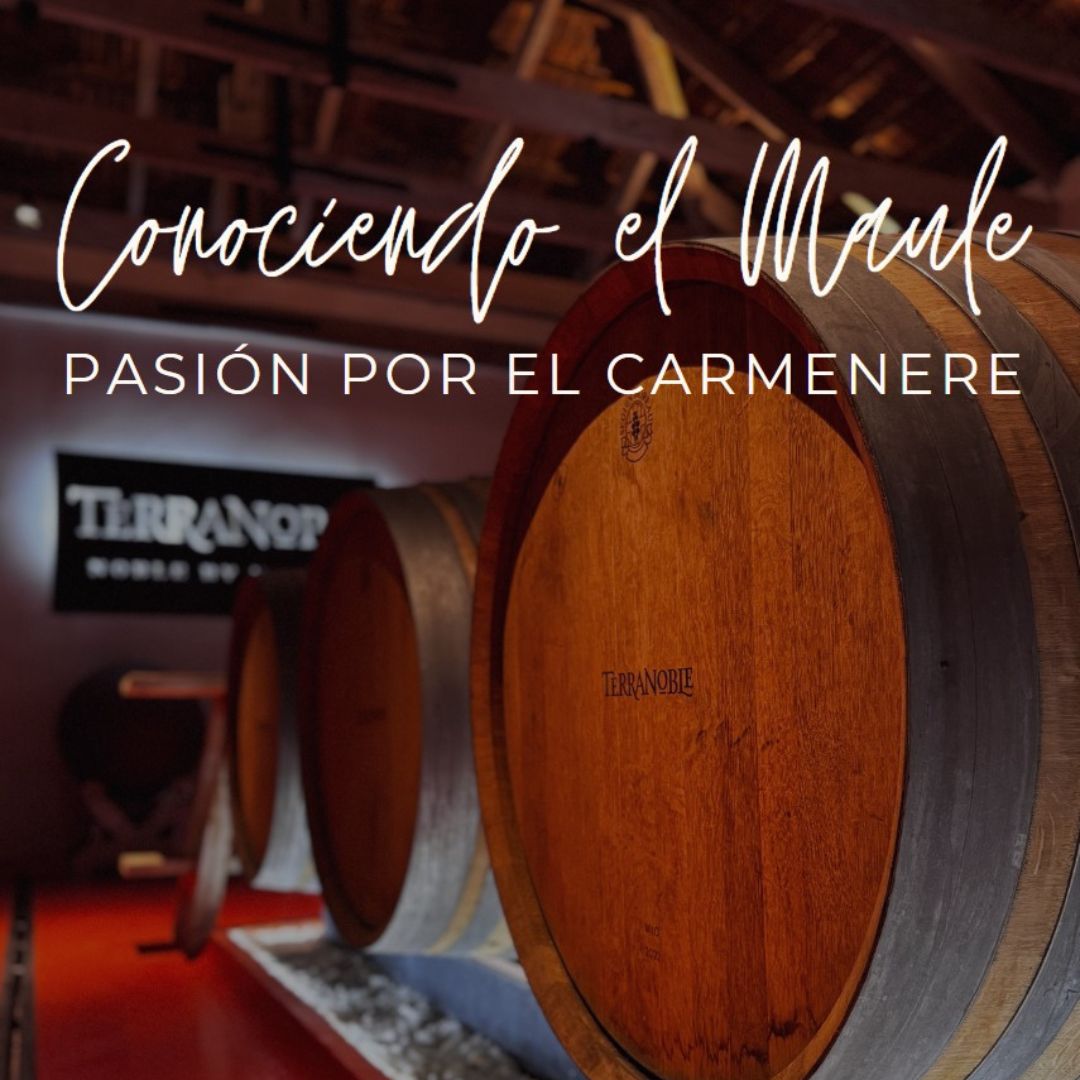 CONOCIENDO EL MAULE, Pasión por el Carmenere