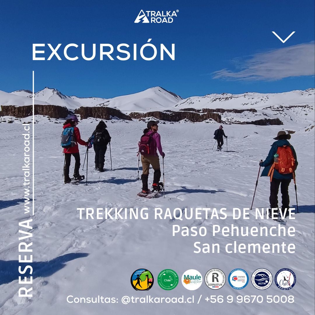 TREKKING RAQUETAS DE NIEVE, Paso Pehuenche
