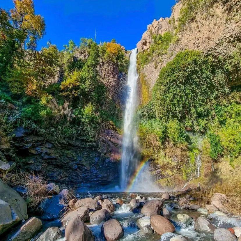 TREKKING SALTO EL DESPALMADO, Reserva Altos de Lircay