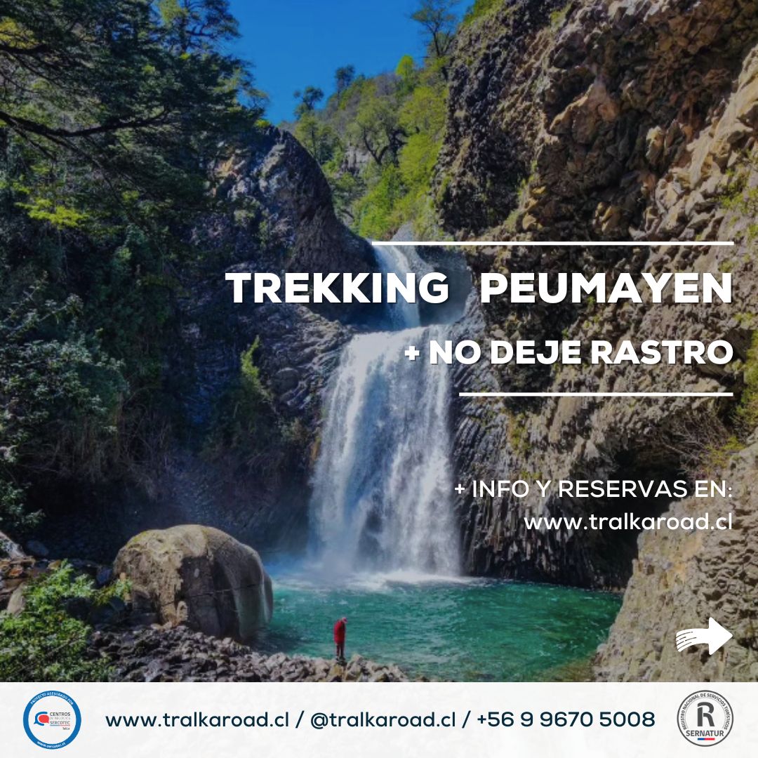 TREKKING PARQUE PEUMAYEN TENGLO + NDR