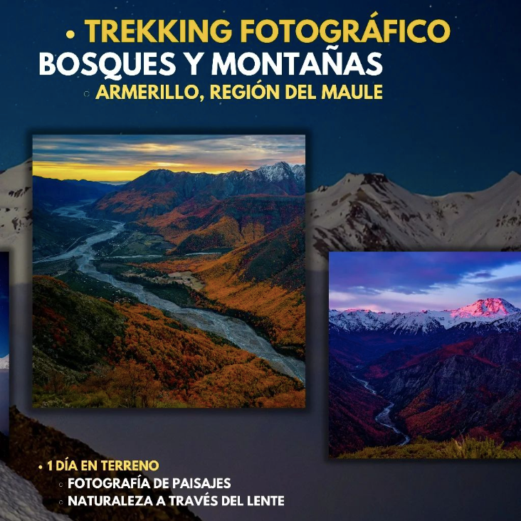 TREKKING FOTOGRÁFICO: Bosques y Montañas